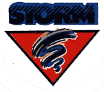 Guelph Storm 1991-1995 primary logo iron on transfers for T-shirts